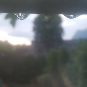 5533981212c85b74dfcd8df8f0eb0d4a profile image