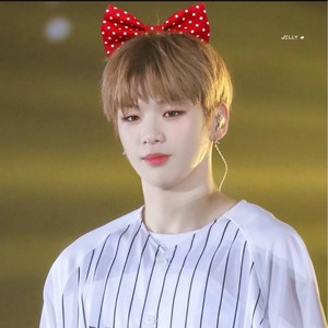 kangdanitynuna's profile image