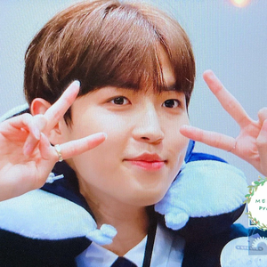 째니꺄꺄2 profile image