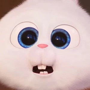 거대토끼주인 profile image