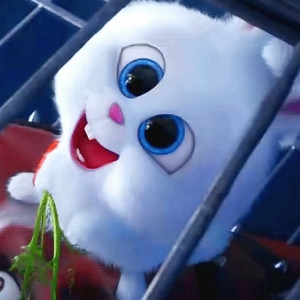 Xistory profile image