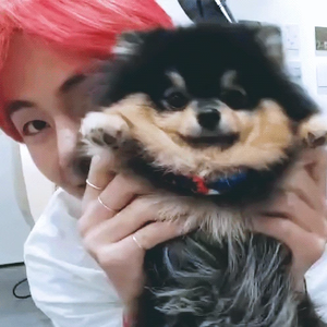 탄이되고파 profile image