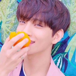 홍당무ㅇ profile image