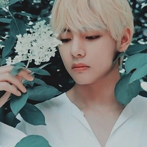 김야호 profile image