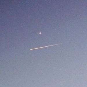 셍ㅅㅇ profile image