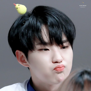 윤하159 profile image