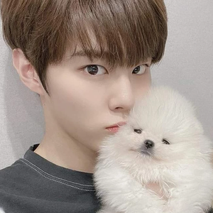 Aa한비굴림체 profile image