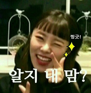 용또니랑벼리랑휘니랑혜지니랑사랑해 profile image