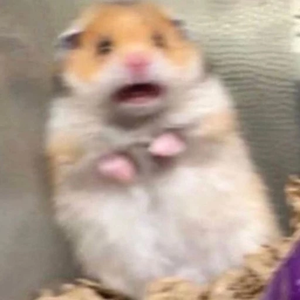 워메놀래라 profile image