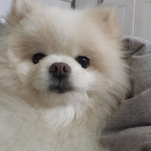 인월님 profile image