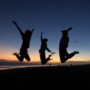 로세캐럿 profile image