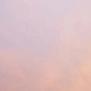 악마하린 profile image