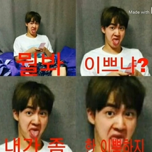 보라파카 profile image
