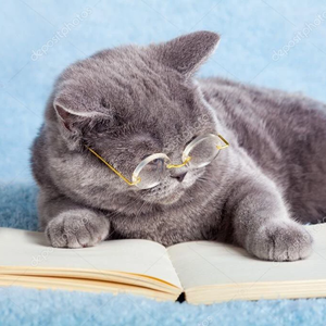 김푸하 profile image