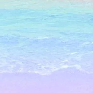 잡덕토끼 profile image