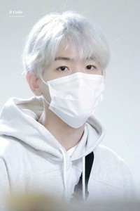 jiawenlexo profile image