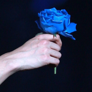 EXO6104 profile image