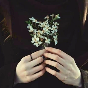 워너원은꽃길만 profile image