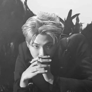 RMblackswan profile image