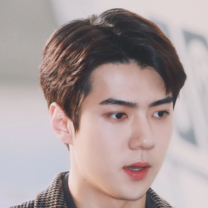 员力石皮 profile image