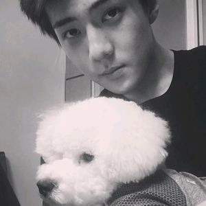 sehunvivi profile image