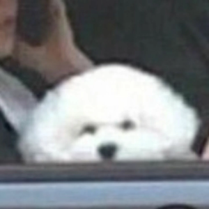 Blueuuu profile image