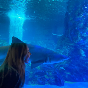 06채현 profile image