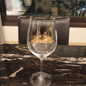 서우의까까아이셩 profile image