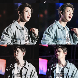 zh爱丽 profile image