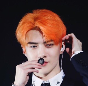 Tangerinehun profile image