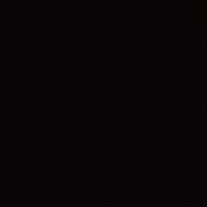 wldl profile image