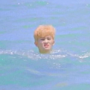 톰과제노 profile image