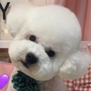 gaigaiexo profile image
