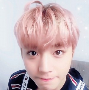 iugaa profile image