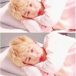 SI세하2 profile image