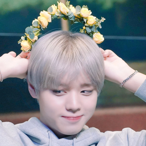 노밍자까 profile image