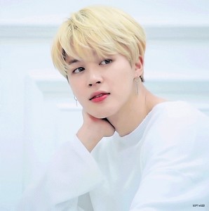 세렌디 profile image