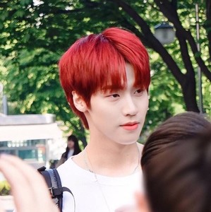 iris1031 profile image