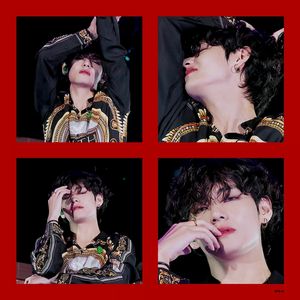 오마이태태 profile image