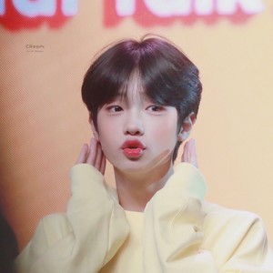 우쨜표랭 profile image