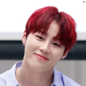 올웨이즈 profile image