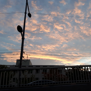 07소은 profile image