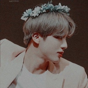 석짐이다 profile image