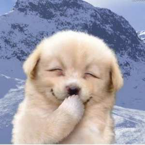 멍총MUNGCHONG profile image