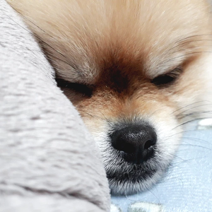 예진아트Yejinart profile image