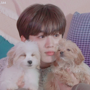 mint초코 profile image