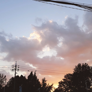 똘똘이 profile image