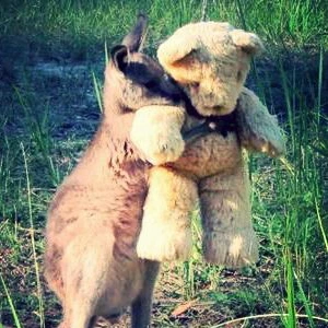 0325Dolkar profile image