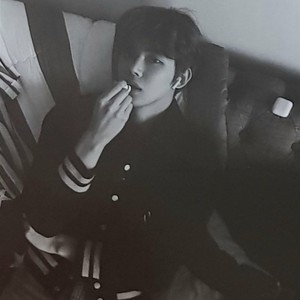 월형 profile image