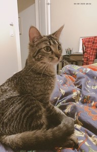 탄이and뷔 profile image